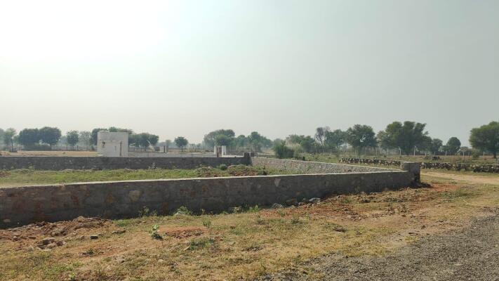 Main High Comercial Plot